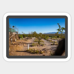 Allen Street in Tombstone, Arizona Sticker